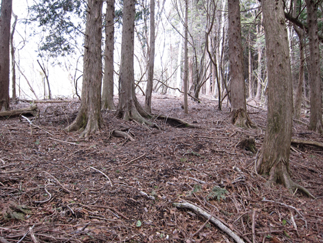 20190205hike (92)